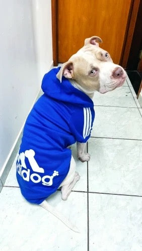 Adidog hoodie