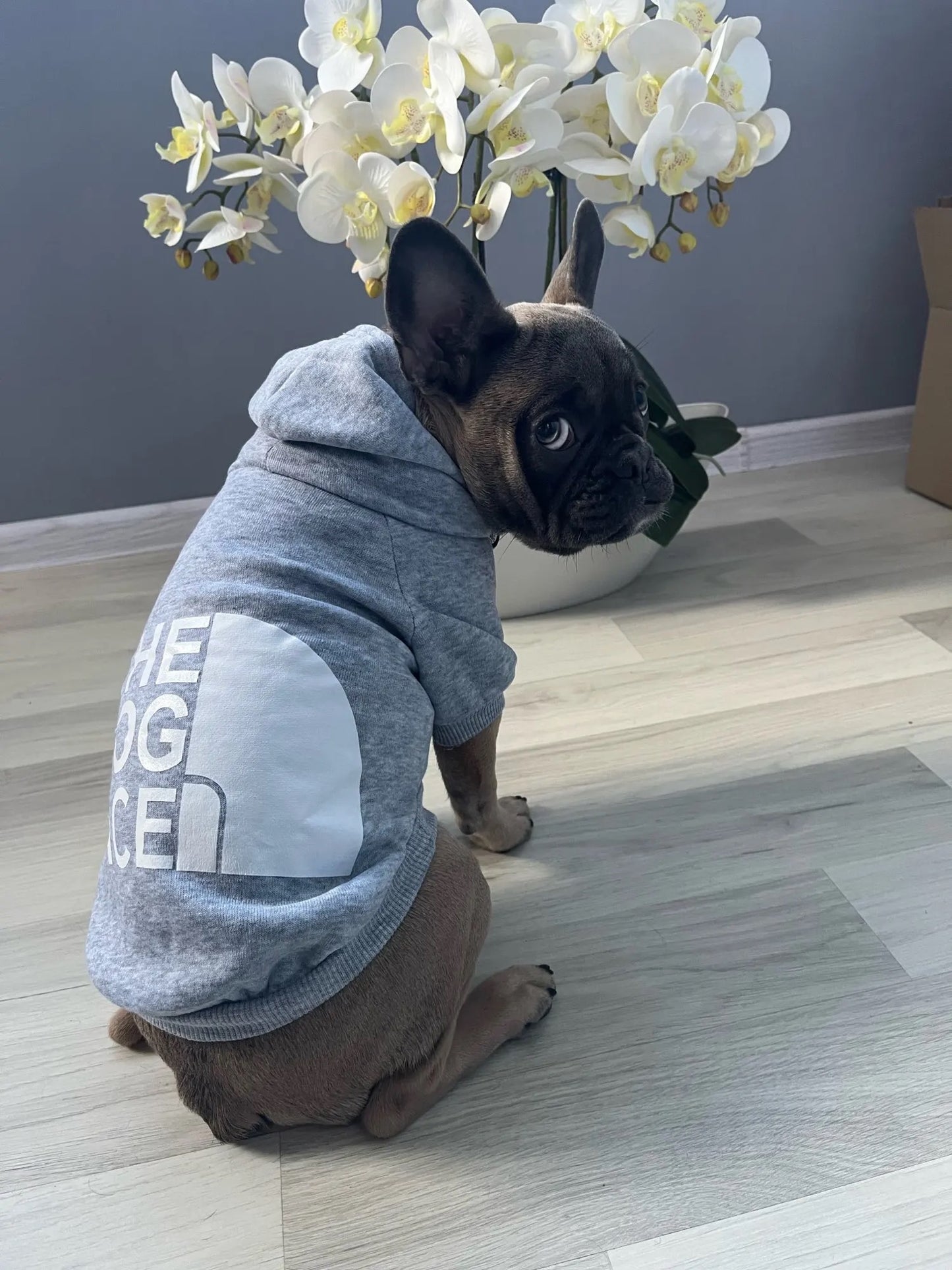 The Dog Face hoodie